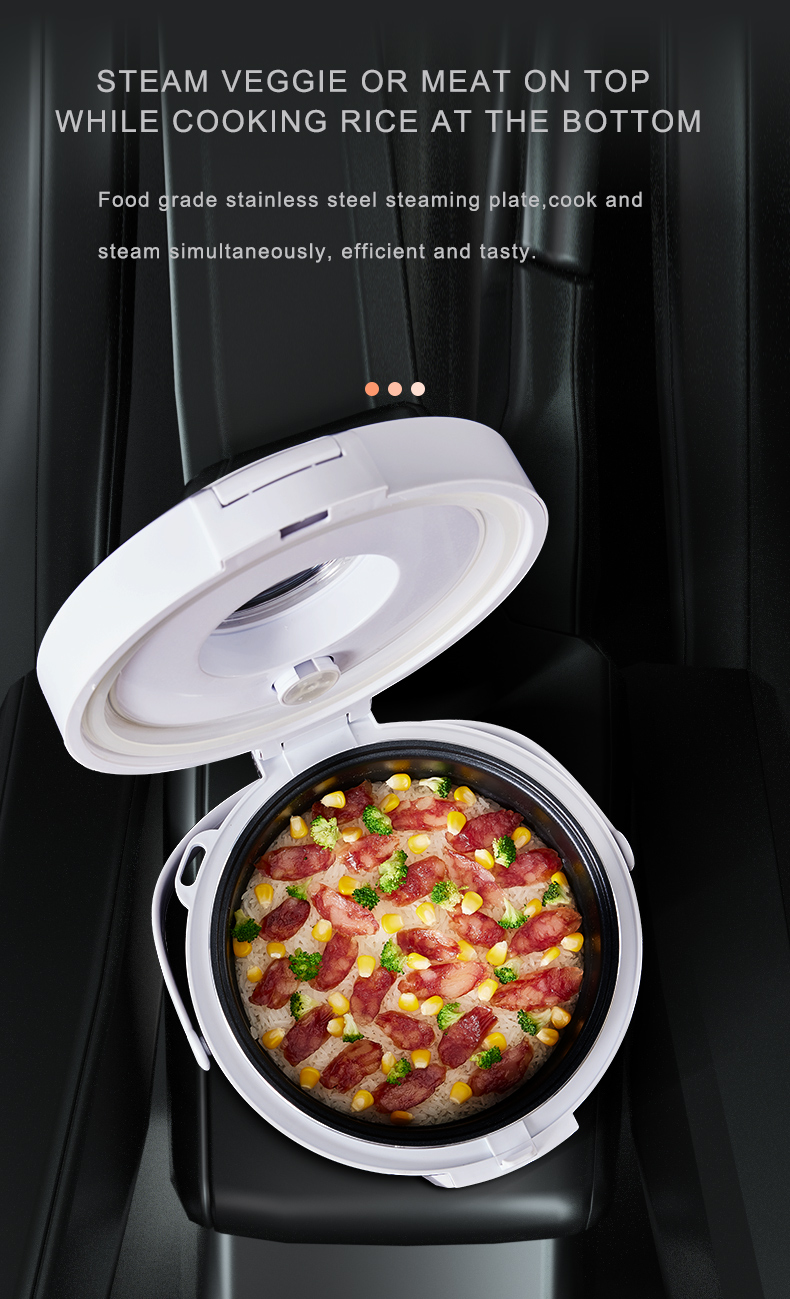 24V Reiskocher LKW-Suppenkoche – Home Cooking Meal Bewertung und Preis